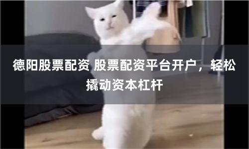 德阳股票配资 股票配资平台开户，轻松撬动资本杠杆